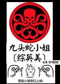 九头蛇小姐[综英美]封面