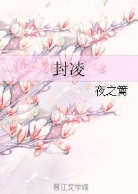 封凌封面