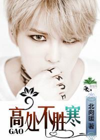 高处不胜寒[娱乐圈]封面