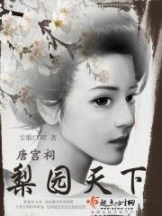 唐宫词之梨园天下封面
