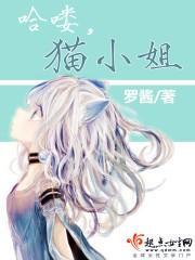 哈喽，猫小姐封面