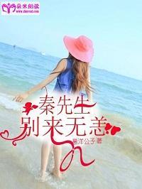 秦先生，别来无恙封面