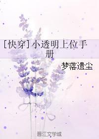 [快穿]小透明上位手册封面