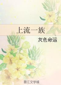上流一族封面
