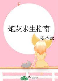 炮灰求生指南封面