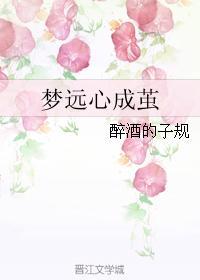 梦远心成茧封面