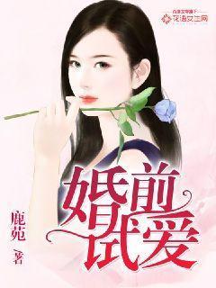 婚前试爱封面
