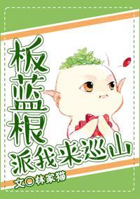 板蓝根派我来巡山封面