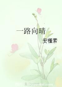 一路向晴封面