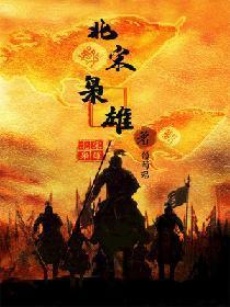 北宋枭雄封面