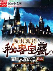 哈利波特与秘密宝藏封面