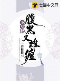小皇叔腹黑又难缠封面