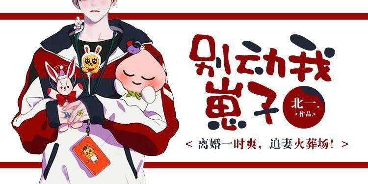 别动我崽子封面