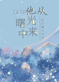 他从曙光中来封面