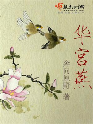 华宫燕封面