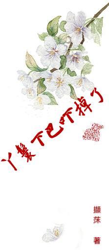 丫鬟下巴吓掉了封面