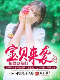 宝贝来袭，抱得总裁归封面