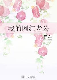 我的网红老公封面