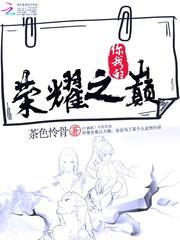 你我的荣耀之巅封面