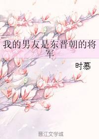 我的男友是东晋朝的将军封面