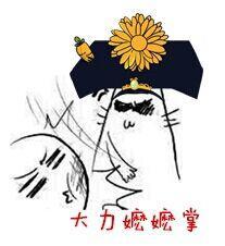 大力嬷嬷掌封面