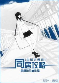 [生活大爆炸]同居攻略封面