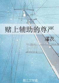赌上辅助的尊严封面