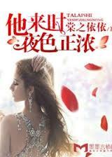 他来时夜色正浓封面