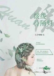 缓缓待陌归封面