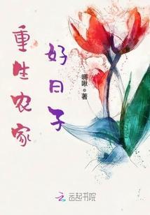 重生农家好日子封面