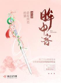 眸中客封面