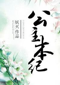 公主本纪封面