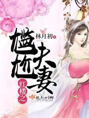 红楼之尴尬夫妻封面