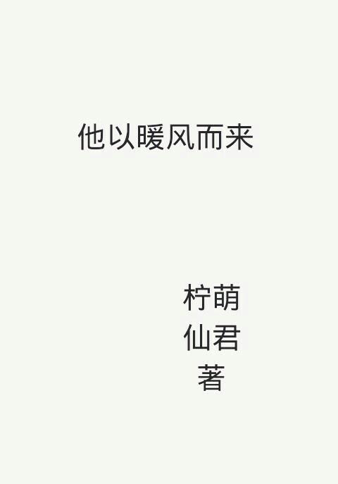 他以暖风而来封面