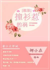 都是撞衫惹的祸封面