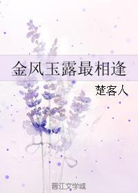 金风玉露最相逢封面