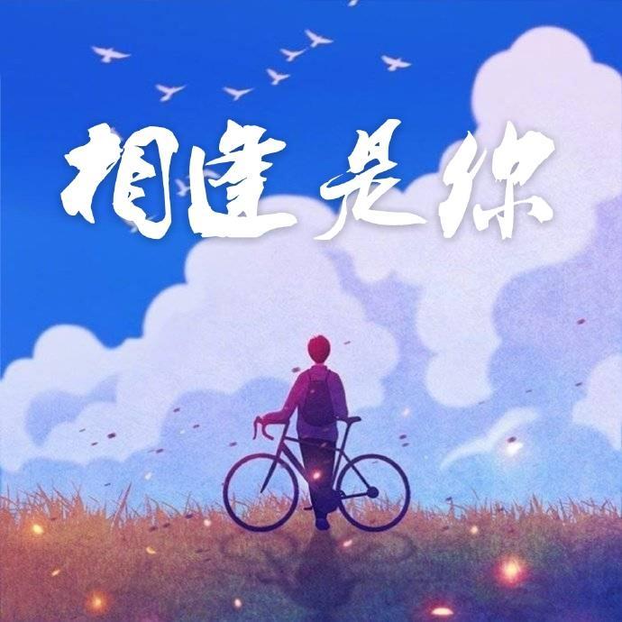 站住!前面的沙雕!封面
