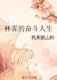 林霁的奋斗人生封面