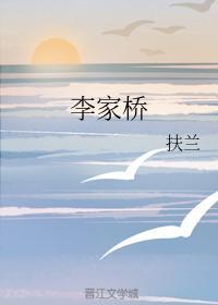 李家桥封面