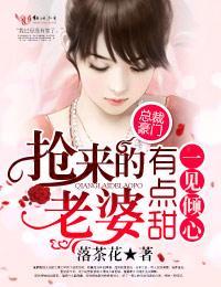 一见倾心，抢来的老婆有点甜封面