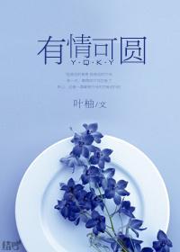 有情可圆封面