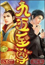 九五至尊封面