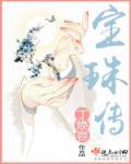 宝珠传封面