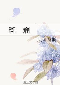 斑斓封面