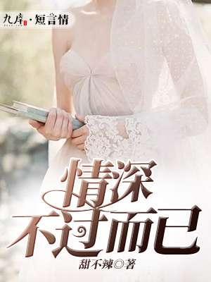 情深不过而已封面