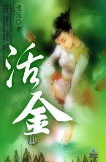 活金封面