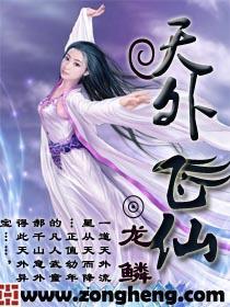 天外飞仙封面