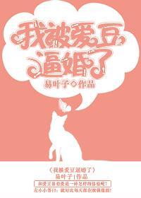 我被爱豆逼婚了封面