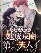 撩错大佬后，她成京圈第一夫人了封面