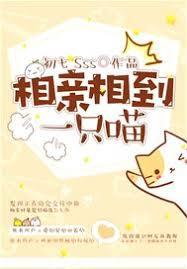 相亲相到一只喵封面